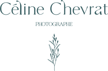 LOGO CC princiapl blanc
